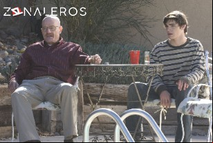 Ver Breaking Bad temporada 2 episodio 10