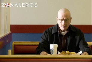 Ver Breaking Bad temporada 2 episodio 11