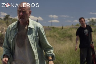 Ver Breaking Bad temporada 2 episodio 3