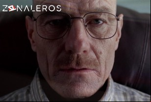 Ver Breaking Bad temporada 2 episodio 5