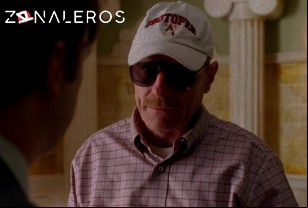 Ver Breaking Bad temporada 2 episodio 8