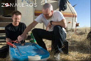 Ver Breaking Bad temporada 2 episodio 9