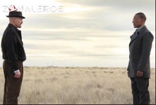 Ver Breaking Bad temporada 3 episodio 13
