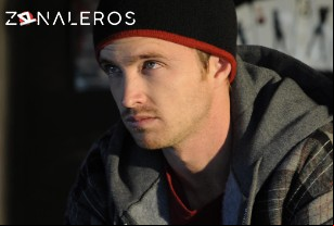 Ver Breaking Bad temporada 3 episodio 5