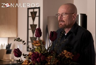 Ver Breaking Bad temporada 3 episodio 7