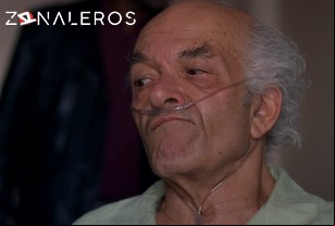 Ver Breaking Bad temporada 4 episodio 13