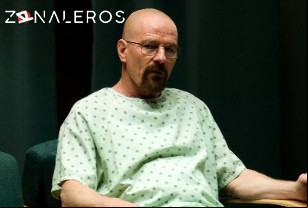 Ver Breaking Bad temporada 4 episodio 8