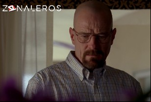 Ver Breaking Bad temporada 4 episodio 9