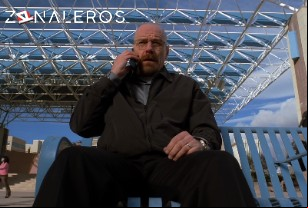 Ver Breaking Bad temporada 5 episodio 12