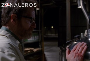Ver Breaking Bad temporada 5 episodio 16