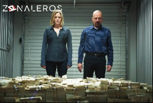 Ver Breaking Bad temporada 5 episodio 8