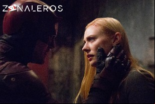 Ver Daredevil temporada 2 episodio 13