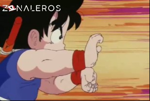 Ver Dragon Ball temporada 1 episodio 11