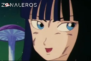 Ver Dragon Ball temporada 1 episodio 13