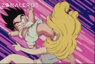 Ver Dragon Ball temporada 1 episodio 17