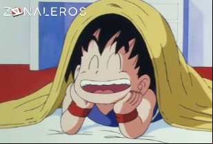 Ver Dragon Ball temporada 1 episodio 2