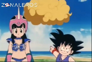 Ver Dragon Ball temporada 1 episodio 8