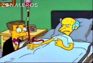 Ver Los Simpsons temporada 2 episodio 22