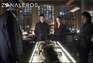 Ver The Flash temporada 1 episodio 19