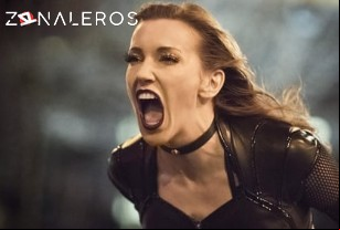 Ver The Flash temporada 2 episodio 22
