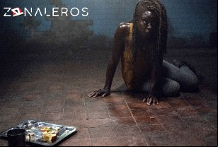 Ver The Walking Dead temporada 10 episodio 13