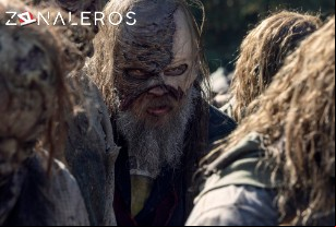 Ver The Walking Dead temporada 10 episodio 16