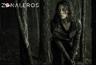 Ver The Walking Dead temporada 11 episodio 16