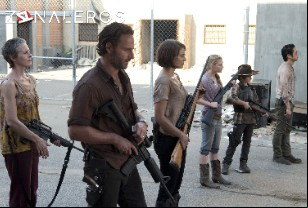 Ver The Walking Dead temporada 3 episodio 11