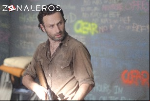 Ver The Walking Dead temporada 3 episodio 12