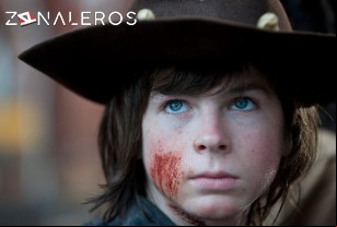 Ver The Walking Dead temporada 4 episodio 16