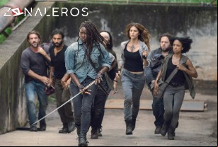 Ver The Walking Dead temporada 9 episodio 7