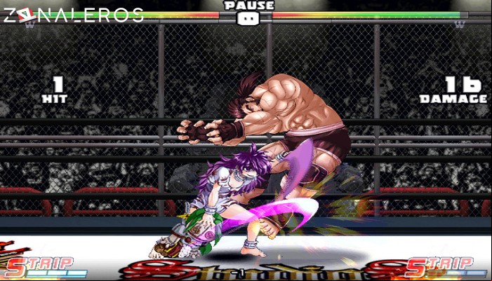 Strip Fighter 5: Chimpocon Edition gameplay