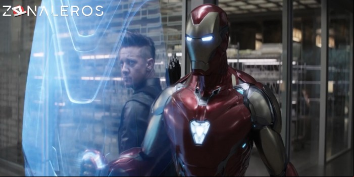 descargar Avengers: Endgame