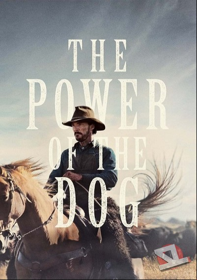 ver El poder del perro