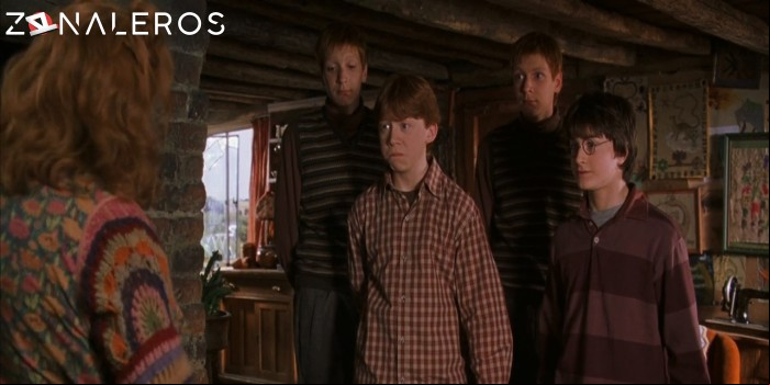 Harry Potter y la cámara secreta gratis