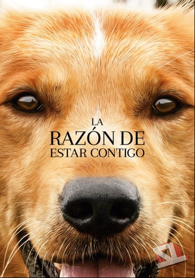 ver La razón de estar contigo