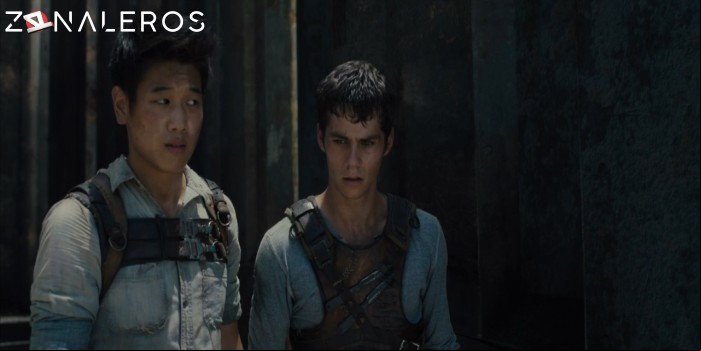 descargar Maze Runner: Correr o Morir