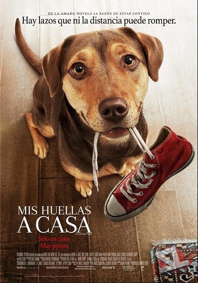 ver Mis huellas a casa