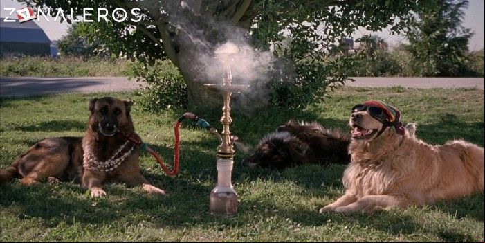 bajar Scary Movie 3