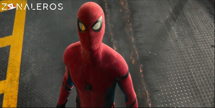 descargar Spider-Man: De regreso a casa
