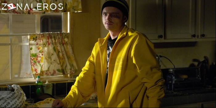 Breaking Bad por mega