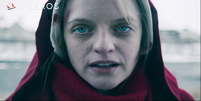 The Handmaid's Tale por mega
